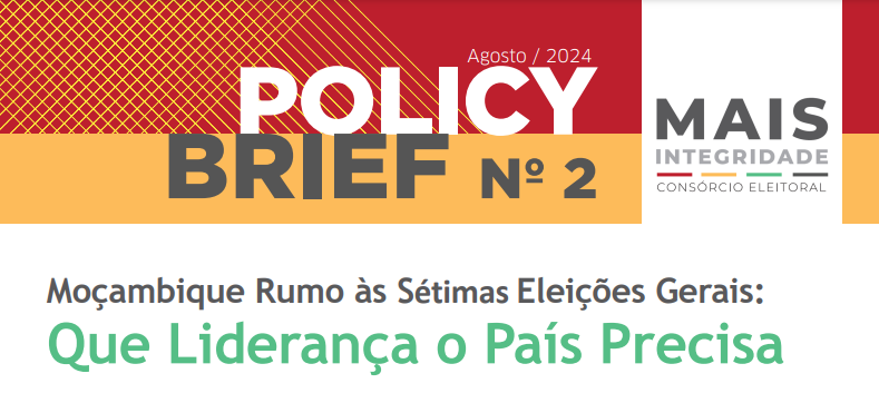 PolicyBrief 2 Imagem